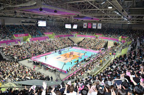 올 시즌 최다 관중이 모인 인천 삼산체육관[한국배구연맹 제공. 재판매 및 DB 금지] photo@yna.co.kr