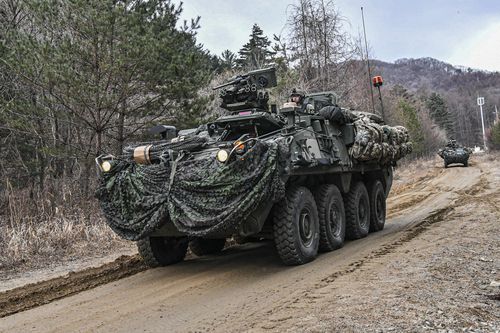 KCTC 훈련 참가한 미 M1126 스트라이커장갑차[육군 제공. 재판매 및 DB 금지]