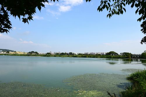 수원 축만제와 축만교 모습 [문화재청 국가문화유산포털 제공. 재판매 및 DB 금지]
