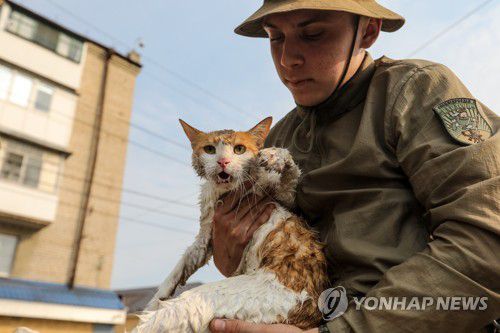 고양이도 구조[EPA=연합뉴스 자료사진. 재판매 및 DB 금지]