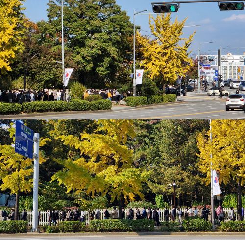 완연한 가을, 국회 에워싼 게이머들    (서울=연합뉴스) 김주환 기자 = 게임물관리위원회의 비위 의혹에 대한 감사원 감사를 요구하는 게이머들이 29일 오후 서울 여의도 국회의사당 앞에서 더불어민주당 이상헌 의원실의 연대 서명에 참여하고자 국회 앞부터 서강대교 남단, 국회도서관까지 긴 줄을 만들고 있다. 2022.10.29 jujuk@yna.co.kr