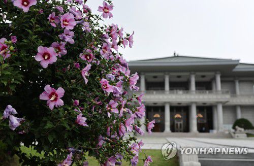 영빈관 앞 김대중 전 대통령 기념식수 ‘무궁화’(서울=연합뉴스) 윤동진 기자 = 30일 오전 청와대에서 청와대 수목 탐방 해설 프로그램이 진행됐다. 사진은 김대중 전 대통령 기념식수인 무궁화. 2023.6.30 mon@yna.co.kr