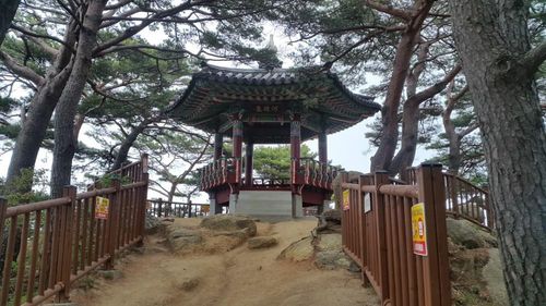 양양 하조대[양양군 제공.재판매 및 DB 금지]