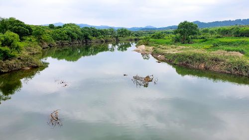천연기념물 어름치 서식지 모습 [국립문화재연구원 제공. 재판매 및 DB 금지]