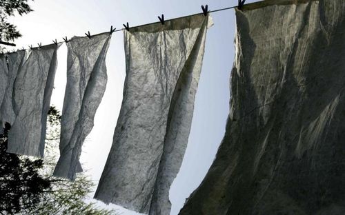 한지[문화재청 제공. 재판매 및 DB 금지]