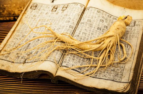 인삼 [문화재청 제공. 재판매 및 DB 금지]