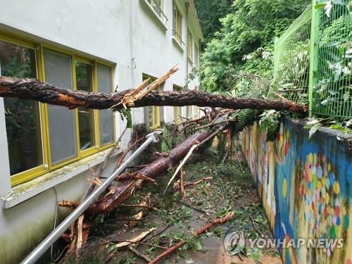 강원 영월서 산사태로 중학교 펜스 '뚝'[강원특별자치도교육청 제공. 재판매 및 DB 금지]