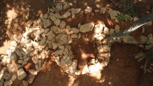 건지산 봉수터 연조 5기[용인시 제공. 재판매 및 DB 금지]