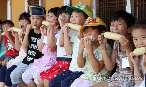 맛있는 홍천 찰옥수수[연합뉴스 자료사진]