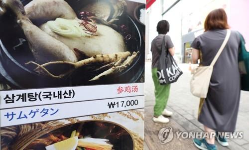 삼계탕 1그릇 1만6천원 시대(서울=연합뉴스) 신준희 기자 = 외식 물가 상승으로 서울의 삼계탕 한 그릇 평균 가격이 1만6천원을 넘어선 가운데 시장에서 직접 재료를 사다 집에서 해 먹는 비용도 껑충 뛴 것으로 나타났다.     사진은 17일 명동. 2023.7.17 hama@yna.co.kr