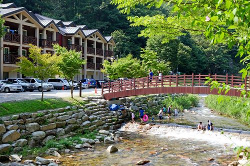 방화동 가족휴가촌 여름 풍경 [장수군 제공]
