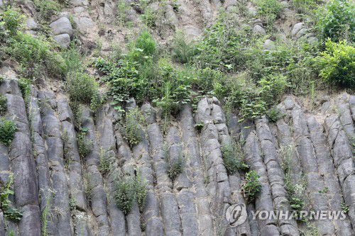 포항 달전리 주상절리[촬영 손대성]