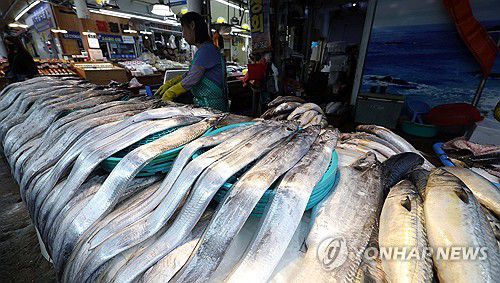 마산어시장의 생선(창원=연합뉴스) 김동민 기자 = 일본이 후쿠시마 제1원자력발전소 오염수의 해양 방류를 개시한 24일 경남 창원시 마산합포구 마산어시장에서 상인이 생선을 손질하고 있다. 2023.8.24 image@yna.co.kr