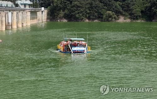 지난 22일 대청호에서 진행된 녹조 제거 작업[연합뉴스 자료사진]