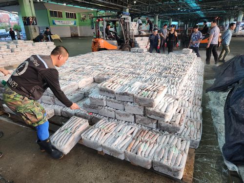 부산공동어시장 경매[차근호 기자]