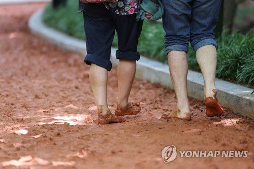 함께 걷는 황톳길[연합뉴스 자료 사진]