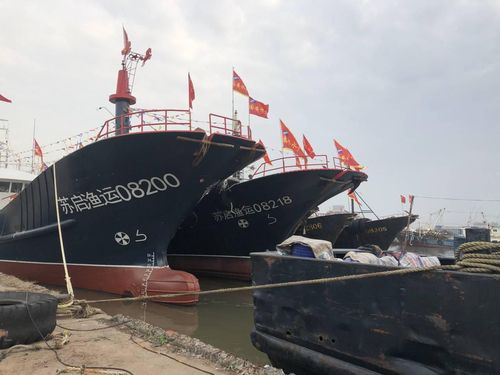 장쑤성 롄윈항의 어선들[화룡망 캡처. 재판매 및 DB 금지]