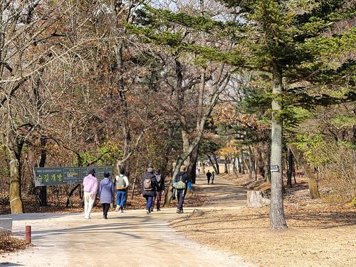동구릉 숲길 걷는 관람객들[문화재청 제공. 재판매 및 DB 금지]