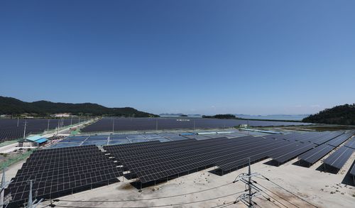 임자도 태양광발전소[촬영 형민우]