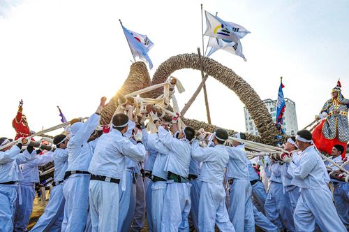 영월 칡줄다리기[영월군 제공.재판매 및 DB 금지]