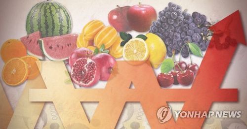 과일 물가·가격 상승 (PG)[제작 최자윤] 일러스트
