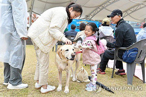 반려견과 함께라서 행복한 시간(원주=연합뉴스) 14일 강원 원주시 무실동 중앙 근린공원에서 열린 제1회 반려동물 문화행사 참가자들이 반려견과 함께 행복한 시간을 보내고 있다. 2023.10.14 [원주시 제공.재판매 및 DB 금지] jlee@yna.co.kr