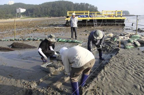 해남선 조사 장면[국립해양문화재연구소 제공. 재판매 및 DB 금지]