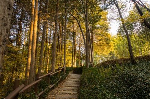 진주 가좌산 둘레길[경남도 제공. 재판매 및 DB 금지]