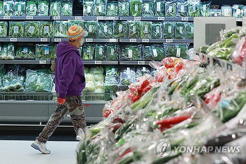 3개월 연속 오른 생산자물가(서울=연합뉴스) 진연수 기자 = 지난달 국제유가 상승으로 생산자물가가 석 달 연속 올랐다. 24일 한국은행에 따르면 9월 생산자물가지수는 121.67(2015년=100)로 8월(121.17)보다 0.4% 상승했다. 7월부터 석 달 연속 올랐으나, 9월 상승 폭은 1년 4개월 만에 최대 수준이었던 8월(0.9%)보다 축소됐다. 사진은 이날 서울의 한 대형마트에서 장 보는 시민. 2023.10.24 jin90@yna.co.kr