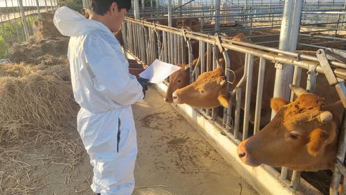 백신 접종 준비 모습[천안시 제공. 재판매 및 DB 금지]