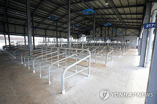 문 닫은 포항 우시장(포항=연합뉴스) 손대성 기자 = 최근 경기, 충남, 충북지역에서 소 바이러스 질병인 '럼피스킨병'이 잇따라 발생함에 따라 24일 경북 포항시가 북구 기계면 우시장을 폐쇄해 우시장이 텅 비어 있다. 2023.10.24 sds123@yna.co.kr