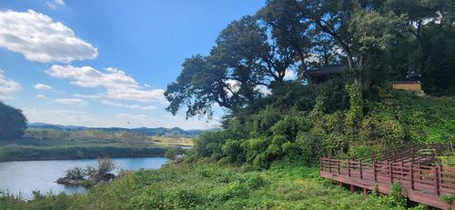 곡성 함허정 일원, 국가지정문화재 명승 지정 예고[곡성군 제공. 재판매 및 DB 금지]