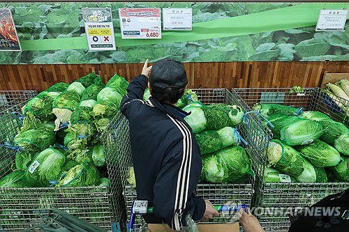 올해 김장재료 구매비용 작년보다 소폭 감소(서울=연합뉴스) 신현우 기자 = 15일 서울 서초구 하나로마트 양재점을 찾은 시민이 김장 재료를 고르고 있다.     이날 전문가격조사기관 한국물가협회에 따르면 올해 김장에 쓸 배추, 무, 고춧가루, 천일염 등 재료 15개 품목을 전통시장에서 구매하는 비용은 4인 가족 기준 35만520원이다. 대형마트에서 김장 재료를 구매하는 비용은 43만3천990원으로 조사됐다. 작년과 비교하면 각각 2.8%, 8.3% 줄었다. 2023.11.15 nowwego@yna.co.kr