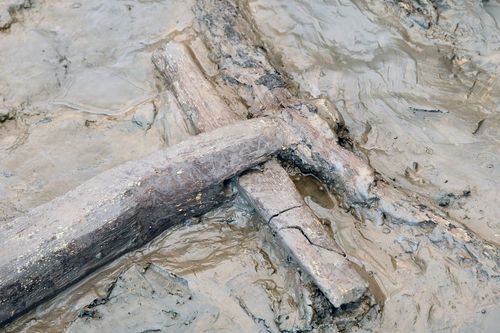 2023년 6월 몽촌토성에서 추가 출토된 삼국시대 목제 쟁기[한성백제박물관 제공. 재판매 및 DB 금지]