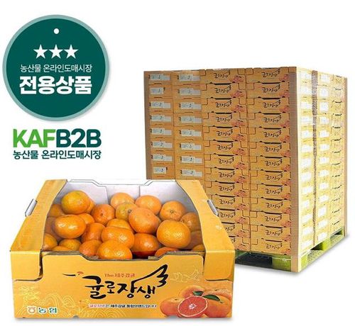 농산물 온라인도매시장 전용상품[농림축산식품부 제공. 재판매 및 DB금지]