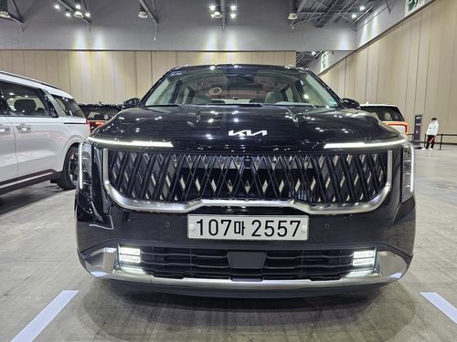 더 뉴 카니발 전면[촬영 임성호]