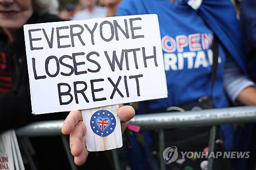 EU 재가입을 요구하는 시위자 [EPA=연합뉴스]