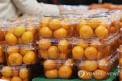 제주 감귤, 조사 이래 최고가(서울=연합뉴스) 강민지 기자 = 제주 감귤 가격이 오름세를 보이고 있는 24일 서울의 한 대형마트에서 시민들이 귤을 고르고 있다. 제주도에 따르면 올해 제주 노지감귤 5㎏당 평균 가격(도매가)이 1만~1만1000원대로, 지난해 평균 가격 8000~8500원보다 약 30% 높게 거래 중이다. 이는 1997년 감귤 가격 조사 이래 최고가다. 2023.12.24 mjkang@yna.co.kr