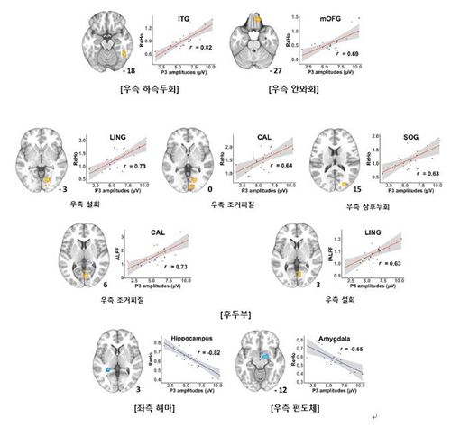 [삼성서울병원 제공]