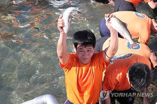 '산천어 잡았어요'(화천=연합뉴스) 강태현 기자 = 13일 오전 강원 화천군 화천읍 화천천에서 열린 '2024 산천어축제' 맨손잡기 행사장에서 관광객이 산천어를 머리 위로 들어올리고 있다. 2024.1.14 taetae@yna.co.kr