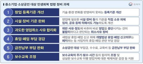 중소기업·소상공인 생활법령 정비 추진[법제처 제공]