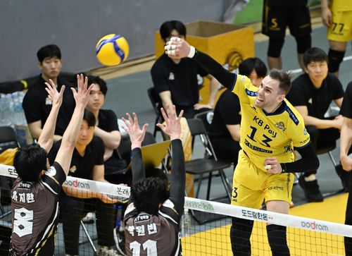 KB손해보험 비예나의 스파이크[한국배구연맹 제공. 재판매 및 DB 금지]