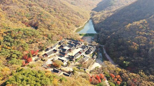 불갑산과 불갑사 전경[문화재청 제공. 재판매 및 DB 금지]