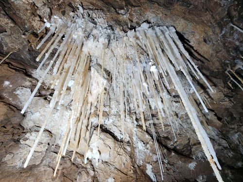 천장에서 떨어진 물방울로 만들어진 빨대 모양의 종유관[문화재청 제공. 재판매 및 DB 금지]