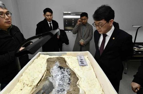 출토된 칠피갑옷을 살펴보는 최응천 문화재청장[국립부여문화재연구소 제공. 재판매 및 DB 금지]