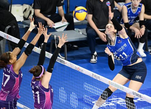 IBK 아베크롬비의 스파이크[한국배구연맹 제공. 재판매 및 DB 금지]