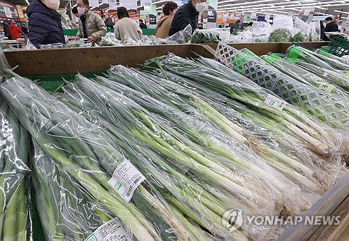 파 50%·배추 21% 올라(서울=연합뉴스) 이재희 기자 = 7일 통계청 국가통계포털(KOSIS) 자료에 따르면 지난 2월 채소류 물가지수는 지난해 같은 달과 비교해 12.2% 올랐다. 지난해 3월(13.8%) 이후 11개월 만에 가장 높은 수준이다. 품목별로 살펴보면 파(50.1%)와 토마토(56.3%)를 비롯해 배추 물가도 1년 전보다 21.0% 올랐다. 사진은 이날 서울 한 대형마트에서 장을 보는 시민의 모습. 2024.3.7 scape@yna.co.kr