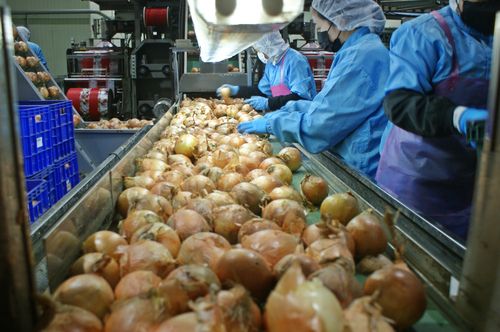 [롯데마트 제공. 재판매 및 DB 금지]