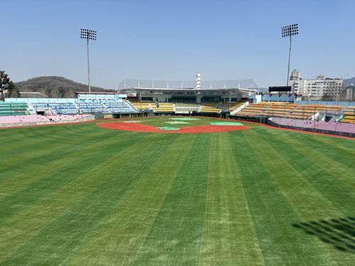 교체된 청주야구장 인조잔디[청주시 제공. 재판매 및 DB금지]