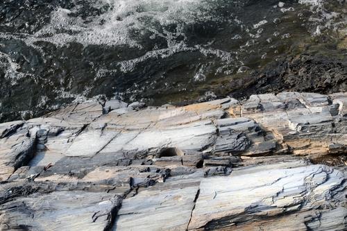 지난해 포항 블루밸리산업단지에서 발견된 나무화석[촬영 손대성]
